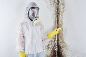 Best Industrial Mold Remediation  in Swarthmore, PA